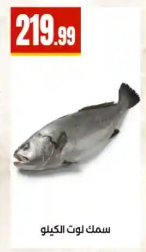 available at مارت فيل in Egypt - القاهرة