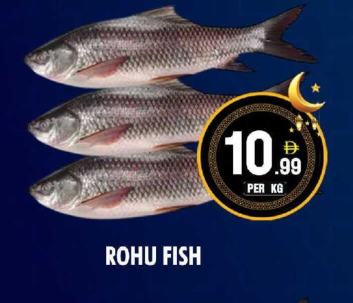 available at NIGHT TO NIGHT DEPARTMENT STORE in UAE - Sharjah / Ajman