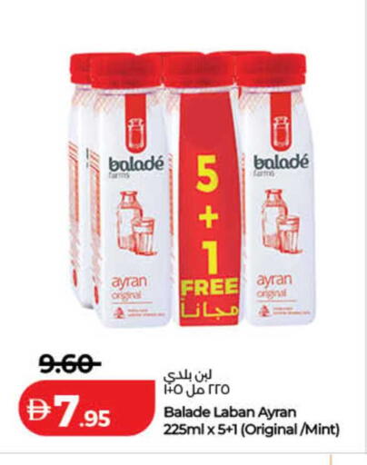 Mint available at لولو هايبرماركت in الإمارات العربية المتحدة , الامارات - ٱلْفُجَيْرَة‎