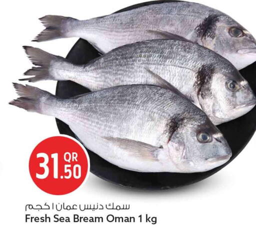 available at Safari Hypermarket in Qatar - Al Daayen