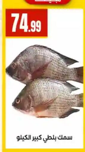 available at مارت فيل in Egypt - القاهرة