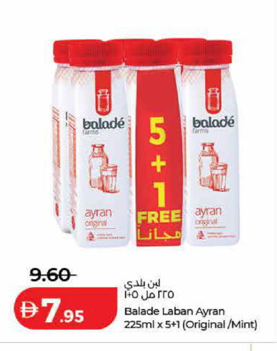 Mint available at لولو هايبرماركت in الإمارات العربية المتحدة , الامارات - ٱلْفُجَيْرَة‎