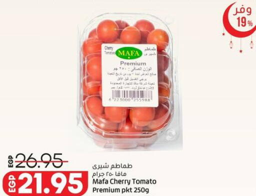 Cherry Cherry tomato available at Lulu Hypermarket  in Egypt - Cairo