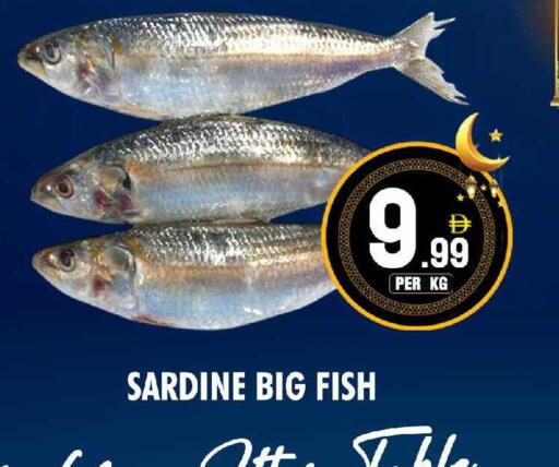 available at NIGHT TO NIGHT DEPARTMENT STORE in UAE - Sharjah / Ajman