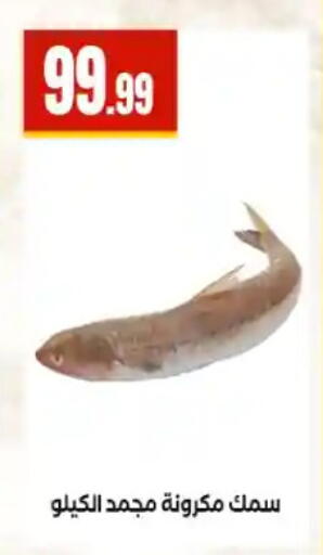 available at مارت فيل in Egypt - القاهرة