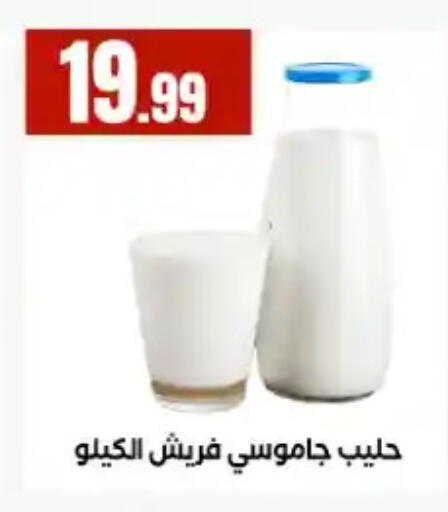 available at مارت فيل in Egypt - القاهرة