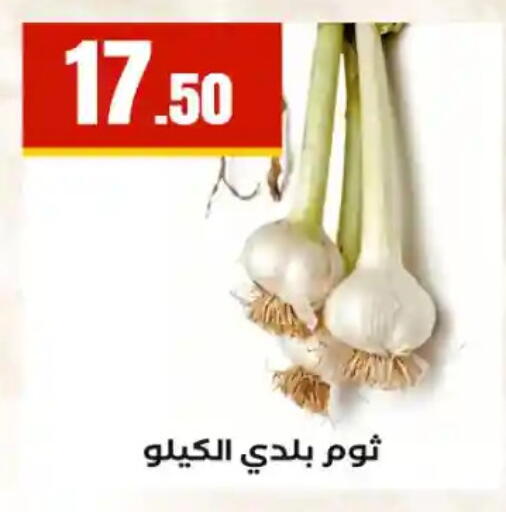 available at مارت فيل in Egypt - القاهرة