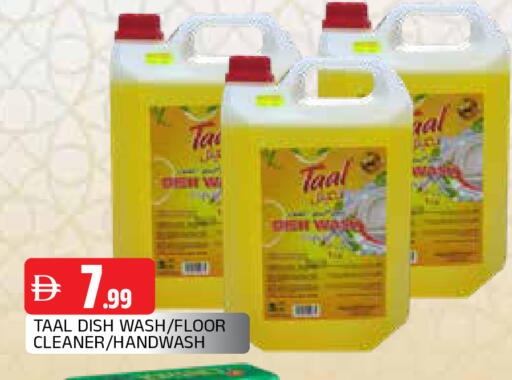 available at المدينة in الإمارات العربية المتحدة , الامارات - الشارقة / عجمان