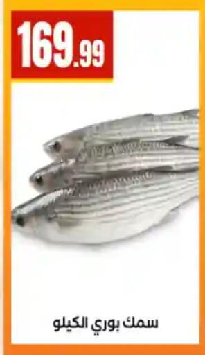 available at مارت فيل in Egypt - القاهرة