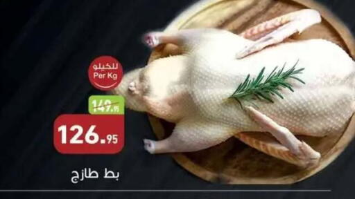 available at Othaim Market   in Egypt - Cairo