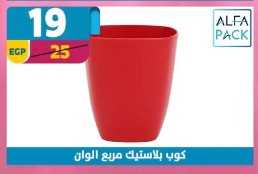 available at Shaheen Center in Egypt - Cairo