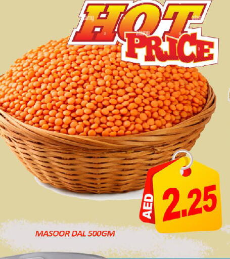 Mango available at مانجو هايبرماركت in الإمارات العربية المتحدة , الامارات - دبي