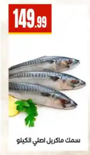 available at مارت فيل in Egypt - القاهرة