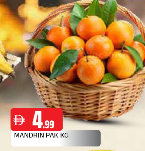 available at المدينة in الإمارات العربية المتحدة , الامارات - الشارقة / عجمان