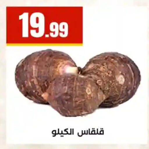 available at مارت فيل in Egypt - القاهرة