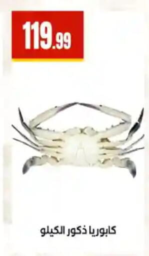 available at مارت فيل in Egypt - القاهرة