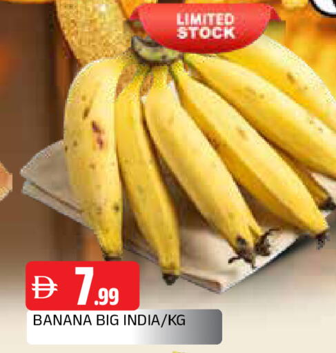 Banana available at المدينة in الإمارات العربية المتحدة , الامارات - الشارقة / عجمان