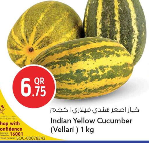 Cucumber from India available at سفاري هايبر ماركت in قطر - الخور