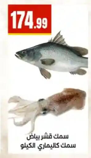 available at مارت فيل in Egypt - القاهرة