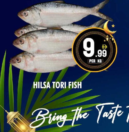 available at NIGHT TO NIGHT DEPARTMENT STORE in UAE - Sharjah / Ajman