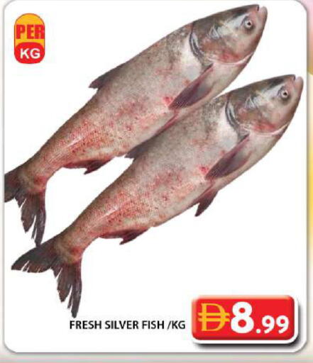 available at Grand Hyper Market in UAE - Dubai