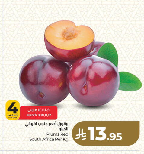 Plums from South Africa available at لولو هايبرماركت in مملكة العربية السعودية, السعودية, سعودية - سيهات