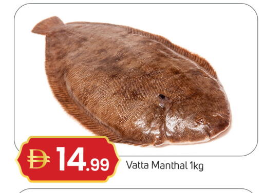 available at سوق طلال in الإمارات العربية المتحدة , الامارات - دبي