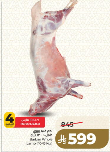 available at لولو هايبرماركت in مملكة العربية السعودية, السعودية, سعودية - المنطقة الشرقية