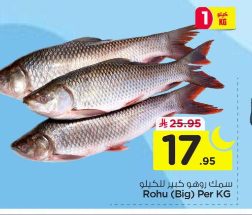 available at نستو in مملكة العربية السعودية, السعودية, سعودية - الأحساء‎