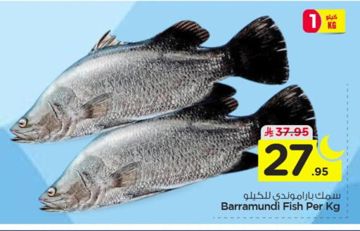 available at نستو in مملكة العربية السعودية, السعودية, سعودية - الخبر‎