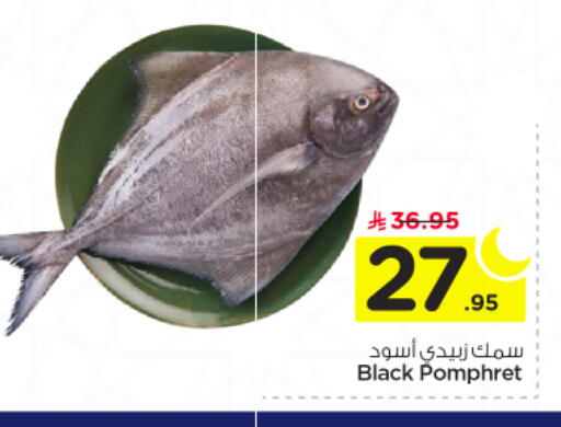 available at نستو in مملكة العربية السعودية, السعودية, سعودية - الخرج