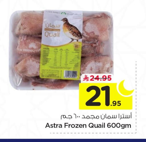 available at نستو in مملكة العربية السعودية, السعودية, سعودية - الخبر‎