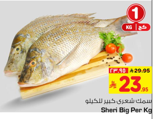 available at هايبر الوفاء in مملكة العربية السعودية, السعودية, سعودية - الطائف