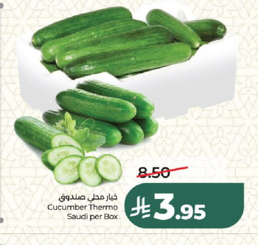 Cucumber from Saudi Arabia available at لولو هايبرماركت in مملكة العربية السعودية, السعودية, سعودية - الرياض