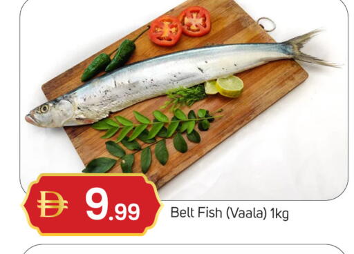 available at سوق طلال in الإمارات العربية المتحدة , الامارات - دبي