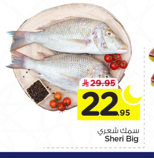 available at نستو in مملكة العربية السعودية, السعودية, سعودية - المجمعة