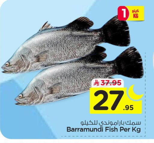 available at نستو in مملكة العربية السعودية, السعودية, سعودية - الأحساء‎