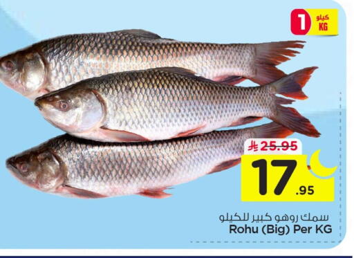 available at نستو in مملكة العربية السعودية, السعودية, سعودية - الخبر‎