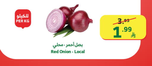 Onion available at الراية in مملكة العربية السعودية, السعودية, سعودية - القنفذة