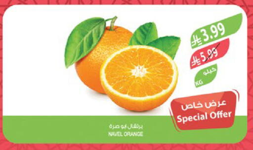 Orange available at المزرعة in مملكة العربية السعودية, السعودية, سعودية - عرعر
