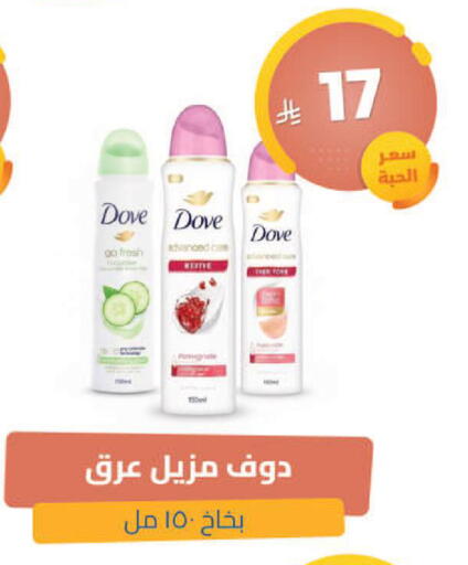 Cucumber available at United Pharmacies in KSA, Saudi Arabia, Saudi - Ta'if