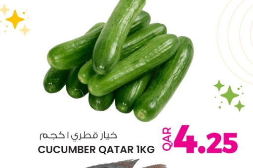 Cucumber from Qatar available at أنصار جاليري in قطر - الخور