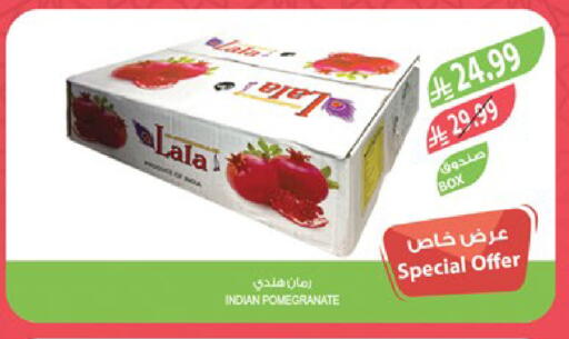 Pomegranate from India available at Farm  in KSA, Saudi Arabia, Saudi - Al Hasa