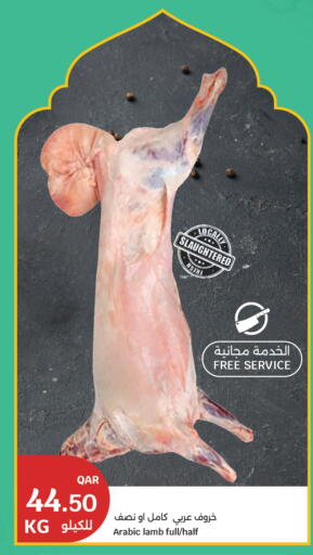 available at سيتي هايبرماركت in قطر - الخور