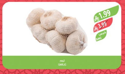 Garlic available at Farm  in KSA, Saudi Arabia, Saudi - Hafar Al Batin