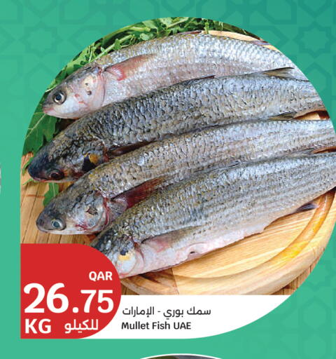 available at سيتي هايبرماركت in قطر - الوكرة