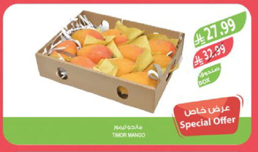 Mango available at Farm  in KSA, Saudi Arabia, Saudi - Jubail