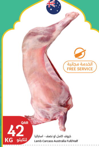 available at سيتي هايبرماركت in قطر - الشحانية