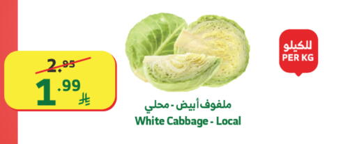 Cabbage available at Al Raya in KSA, Saudi Arabia, Saudi - Mecca