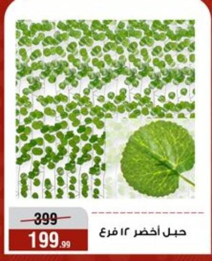 available at المرشدي in Egypt - القاهرة